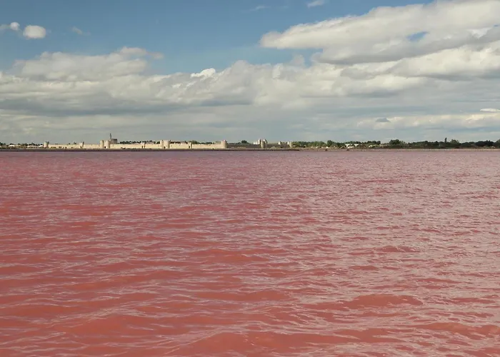 Marina Ns * Le Grau-du-Roi